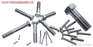 供應:316L 外六角螺栓,華人螺絲網(wǎng)提供各種供應:316L 外六角螺栓報價、價格、生產(chǎn)廠家、供應商-興化齊力得五金制品