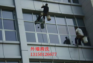 慶陽雅潔居家政保潔——專業(yè)保潔，品質(zhì)之選