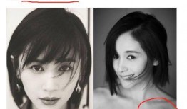 明星黑料最新,明星黑料曝光，真相背后引人深思